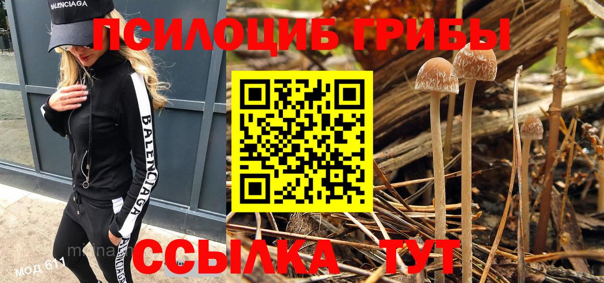 Псилоцибиновые грибы ЛСД  Вход с VPN  Знаменск 